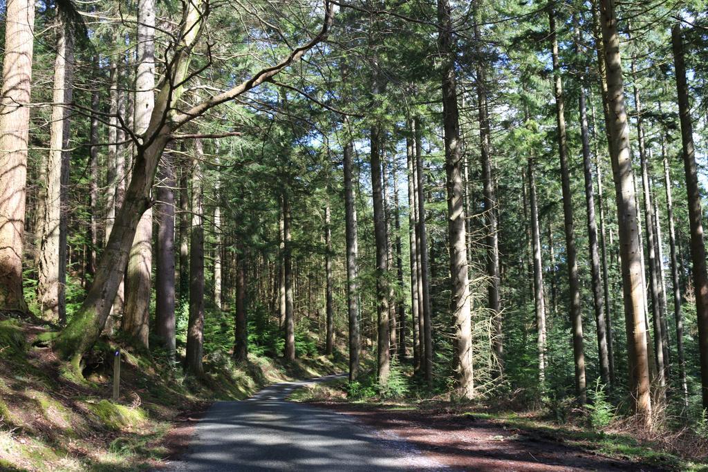 Bod Gwynedd Bed And Breakfast Betws-y-Coed Exteriér fotografie