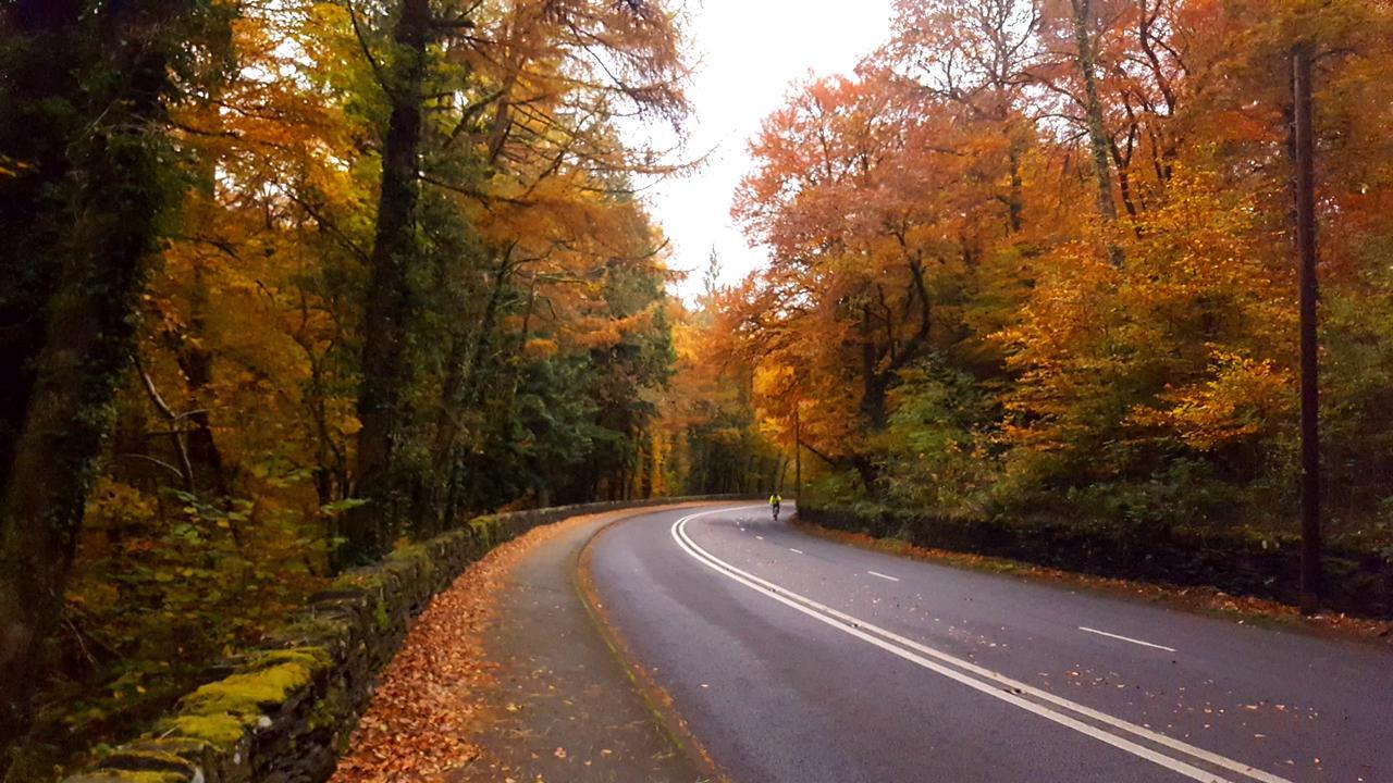 Bod Gwynedd Bed And Breakfast Betws-y-Coed Exteriér fotografie